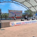 가호동25 이미지