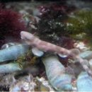 상어지 수변공원 이미지