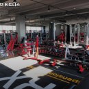 얼라이브 휘트니스 이미지