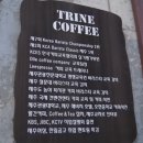트라인 | 제주 와흘리 트라인커피 내돈내산 후기
