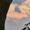 킹스마트 이미지