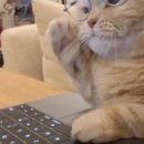 동양한의원 이미지