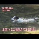 도쿄 23구, 열사병 사망자가 100명 넘어 - 로컬가이드 이미지