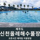 신천리 | 제주도 물놀이장 성산 신천리 올레 해수풀장 오픈런 이용후기