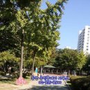 동양(7단지)공인중개사사무소 이미지