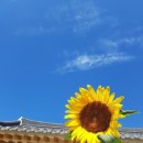 지방도863호 이미지