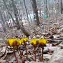 곰배령 팜스테이 이미지