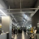 짐포레스트 이미지