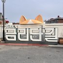 솜리갈비 | 한우파티,비빔면,딸기케이크,미나리삼겹살,집밥,세차,취팔선,구미 나들이,해양산국밥,페트리코,솜리치킨)