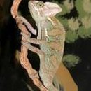 대화기업 이미지