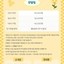 마조르댕 이미지