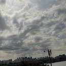 한강정육식당