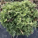 마송농장 이미지