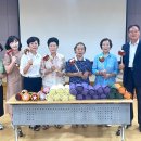 담양자원 전남매일