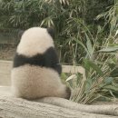 평화떡공방 이미지