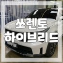 쏘렌토 하이브리드 6인승 루마 버텍스 강남 1인시공점 씨앤디모터스