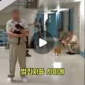 어썸펫 동물병원 이미지