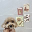 몽아뜨 이미지