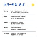 창너머 고양이 이미지