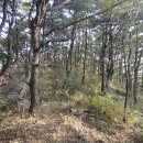 지전보건진료소 이미지