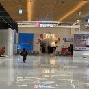 유아 체험과학 (B) | 경기도주말나들이 용인 어린이 과학 전시 체험,롤링볼뮤지엄