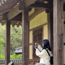 문화해설사의집(곽재우생가) | 경남 의령 여행 명소 부자마을 솥바위 홍의장군 곽재우 생가 호암이병철생가 스탬프투어 선물정보