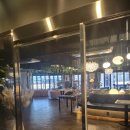 하이롤러 이미지