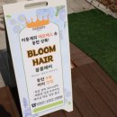 여성헤어 이미지