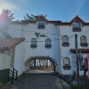 엘마르 | 태안 여행 가족 숙소 가성비, 엘마르펜션 (ft.무한 바베큐, 도보 5분 바다, 조식)