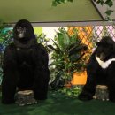 아이월드어린이집 이미지