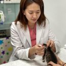 포두동물병원 이미지