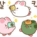 빈티지속초 이미지