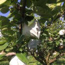 미건농장 이미지