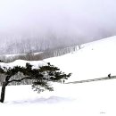 안반데기 목장 이미지