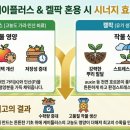 플러스케이 이미지