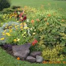 무지개공원2 이미지