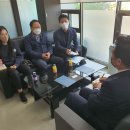 피코크린 이미지
