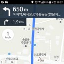 씽크독스쿨 이미지