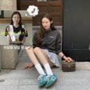 화제의 차정원 양말 정보 (두발로 장목양말 가격, 구매처)