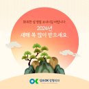 성모오케이정형외과의원 이미지