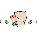 설악약국 이미지