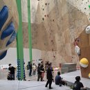 팔마_인공암벽장 이미지