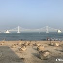 수영마대 뉴스1