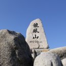 우리동네 여행사