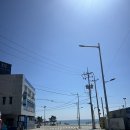 [써피써피] 단번에 일어서게 만들어 주는 부산 송정 써피써피 원데이클래스 후기