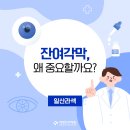 새빛안경콘택트 이미지