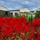 저지오름 이미지