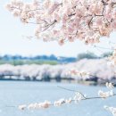 수청한라비발디공인중개사사무소 이미지