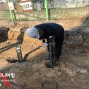 성보펫케어(주) 이미지