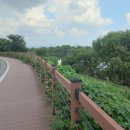 영천남부공인중개사사무소 이미지